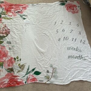 Itzy Ritzy milestone blanket